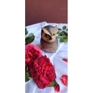 Wooden Owl